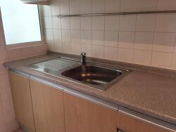 Edelweiss Park Condominium (D17), Condominium #481404371